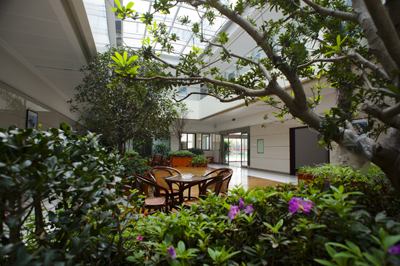 城際軌道和機場段系統項目招標工作啟動